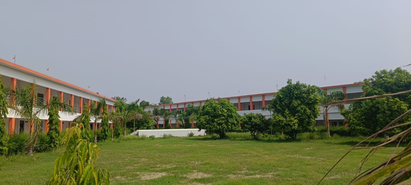 Greenery & Campus View
